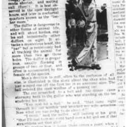 1964-05-20 Dodge -Spotlight_001