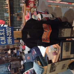 DW020- Fastpitch display