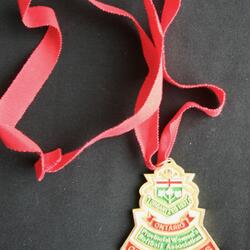 1984 Cobourg Angels Ontario gold medal