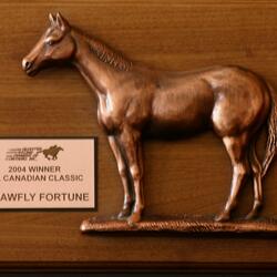 2004 Don Ito plaque Strawfly Fortune horse wins