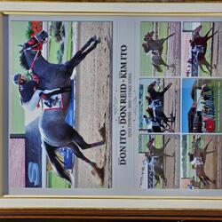 Don Ito 7 photos of 3 winning quarter horses 2010