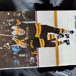 1982-83 Clarkson University hockey program